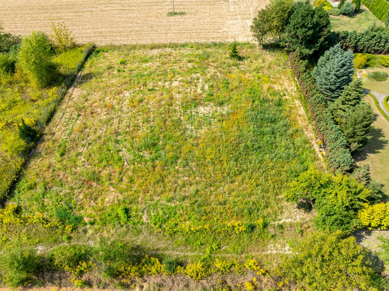 Działka budowlana Płouszowice-Kolonia. Zdjęcie 7