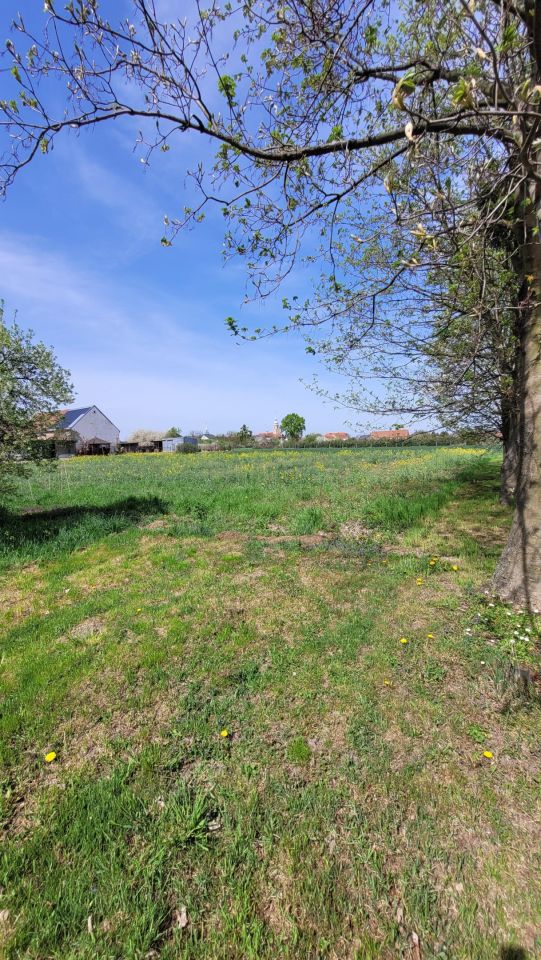 Działka rolno-budowlana Michałów. Zdjęcie 3