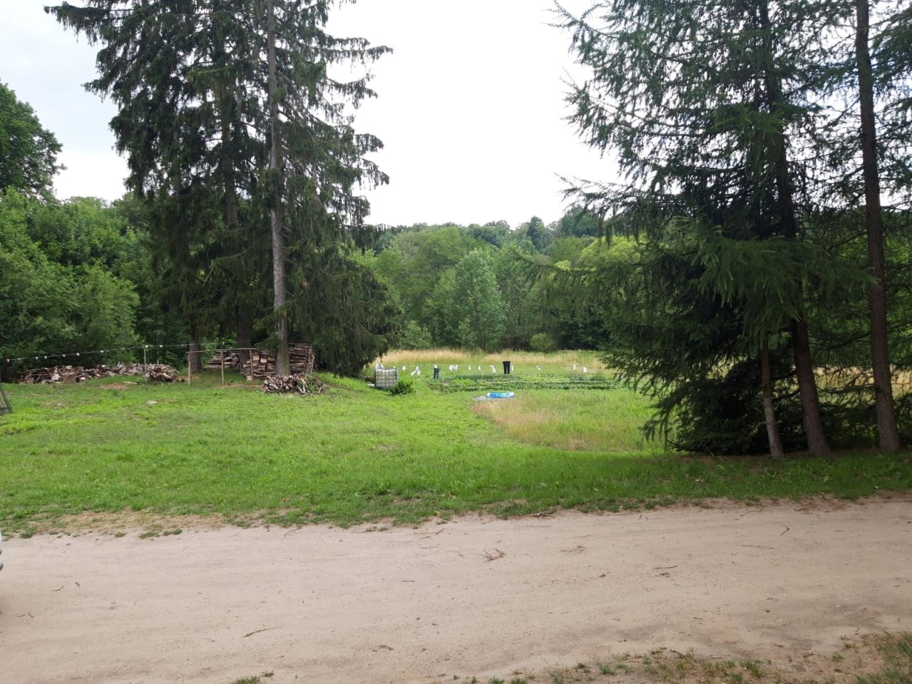 Działka budowlana Lipie. Zdjęcie 9