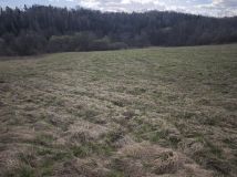 Działka rolna Włosań, ul. Kamienna. Zdjęcie 1