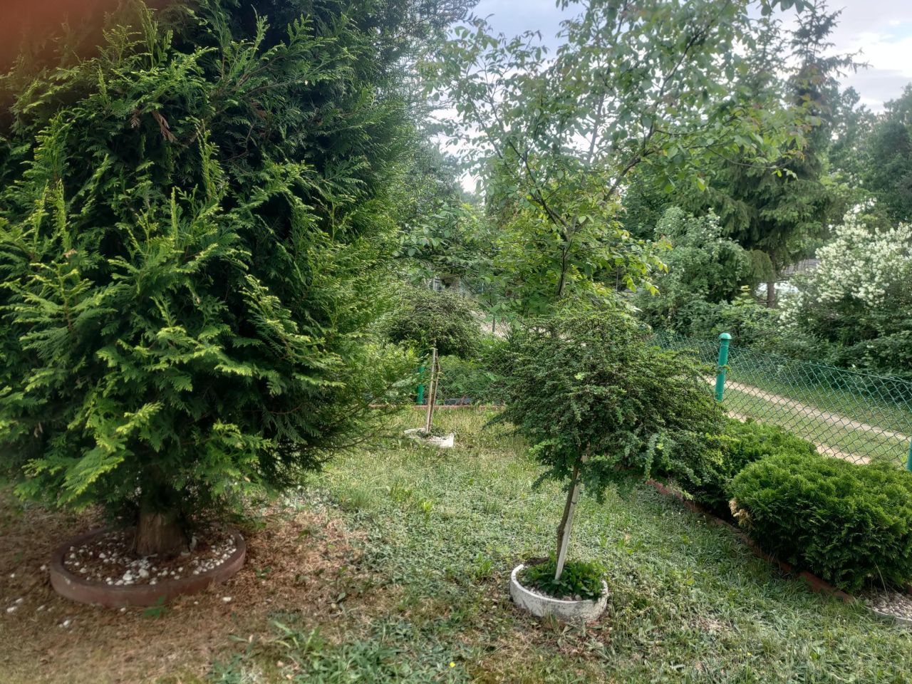 Działka rod Warszawa Wawer, ul. Śnieguliczki. Zdjęcie 6