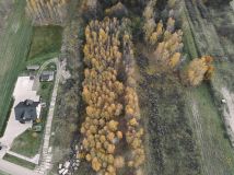 Działka rolno-budowlana Leszczyny Skała. Zdjęcie 2