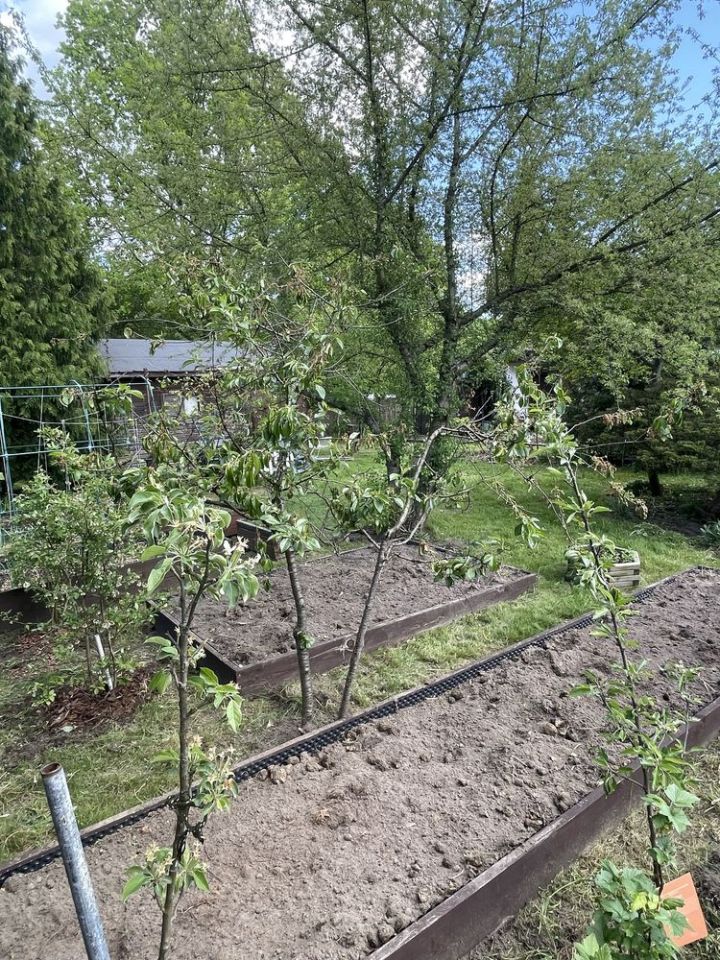 Działka rod Warszawa Wawer, ul. Trakt Lubelski. Zdjęcie 3