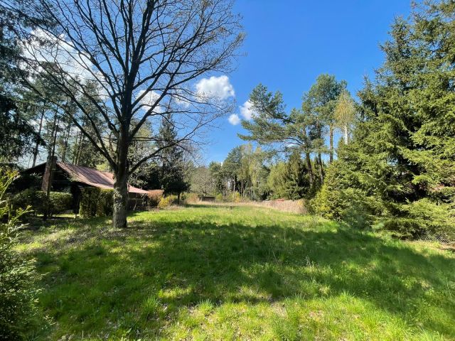 Działka rekreacyjna Skrzeszew, ul. Wczasowa. Zdjęcie 1