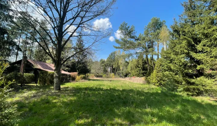 Działka rekreacyjna Skrzeszew, ul. Wczasowa