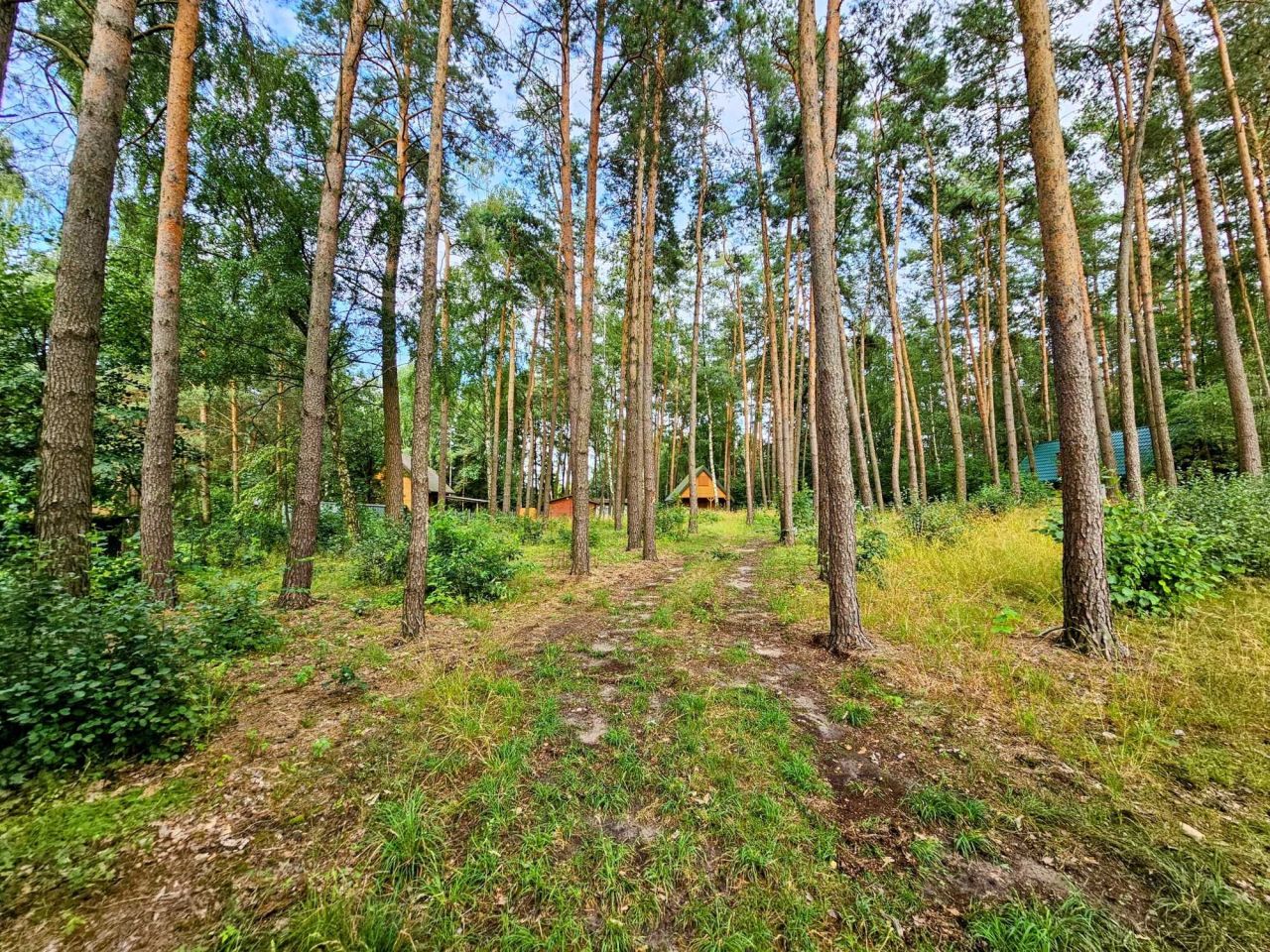 Działka budowlana Kiełpiny. Zdjęcie 4