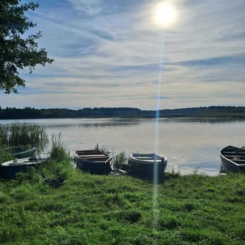 Działka rolna Sędańsk. Zdjęcie 1