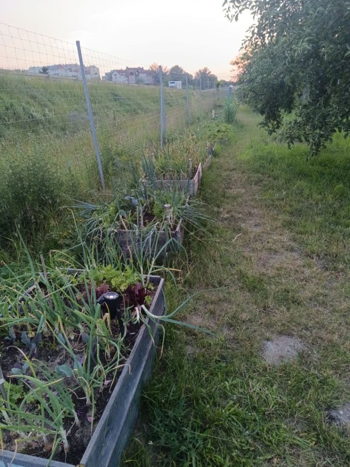 Działka rod Stalowa Wola. Zdjęcie 3