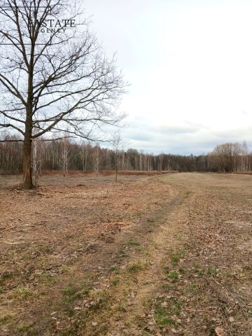 Działka budowlana Koryta. Zdjęcie 5