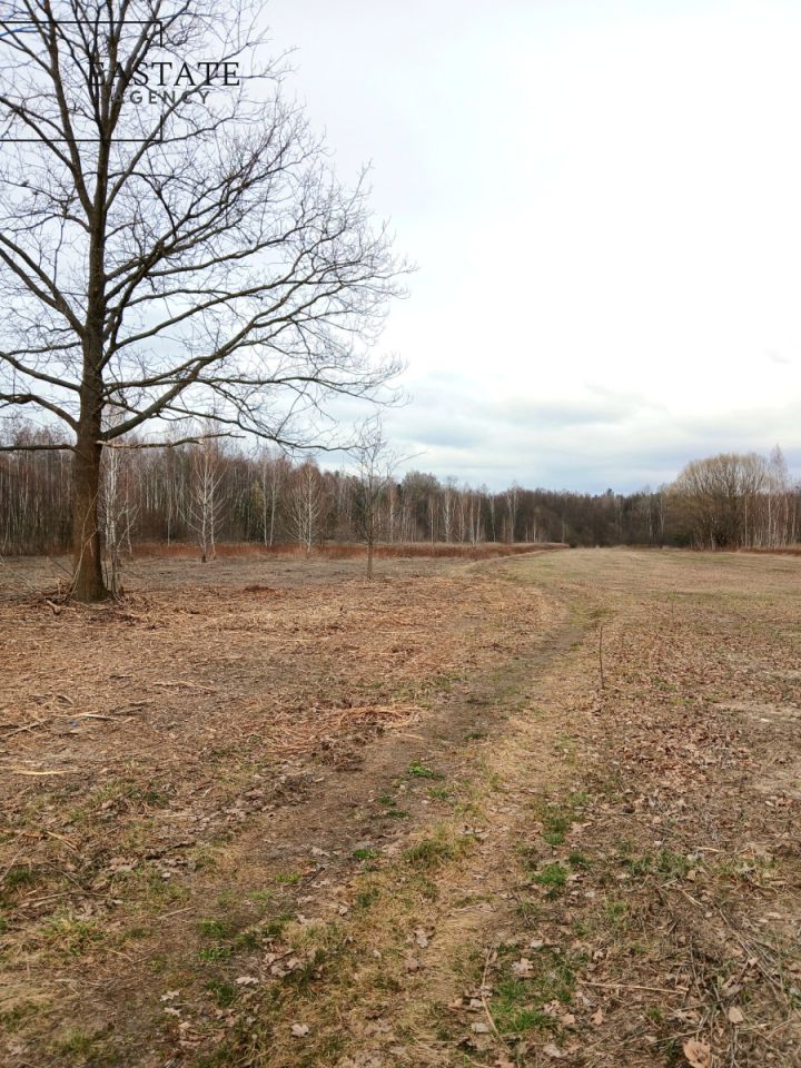 Działka budowlana Koryta. Zdjęcie 5