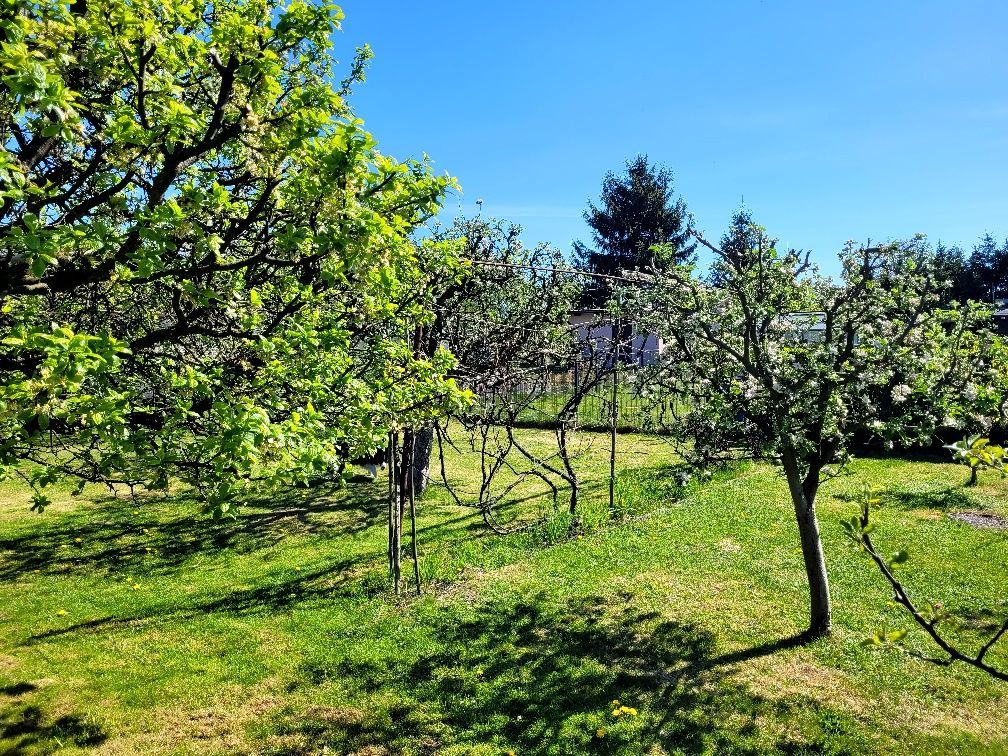 Działka rod Ostrzeszów, ul. Kąpielowa. Zdjęcie 6
