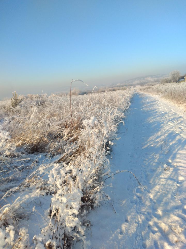 Działka budowlana Górno. Zdjęcie 4