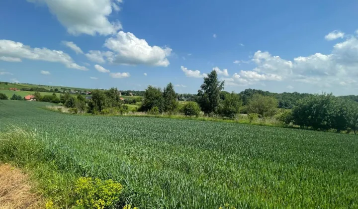 Działka rolna Cianowice