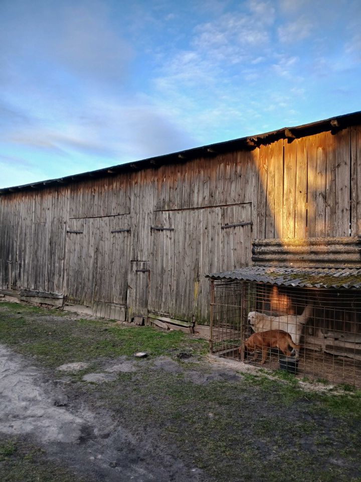 gospodarstwo, 4 pokoje Lipienica. Zdjęcie 2