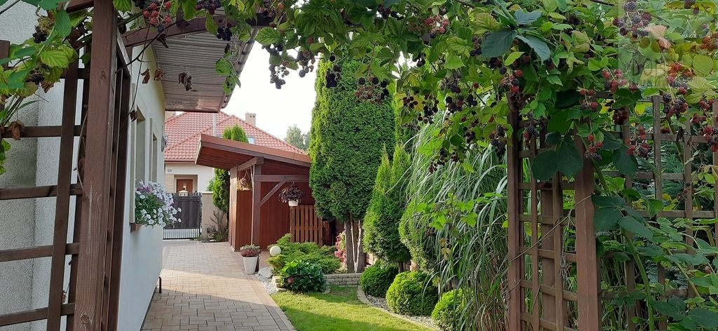 dom wolnostojący, 5 pokoi Brwinów. Zdjęcie 22