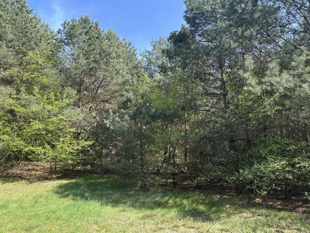 Działka rekreacyjna Gorzewo, Gorzewo. Zdjęcie 1