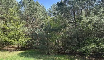 Działka rekreacyjna Gorzewo, Gorzewo