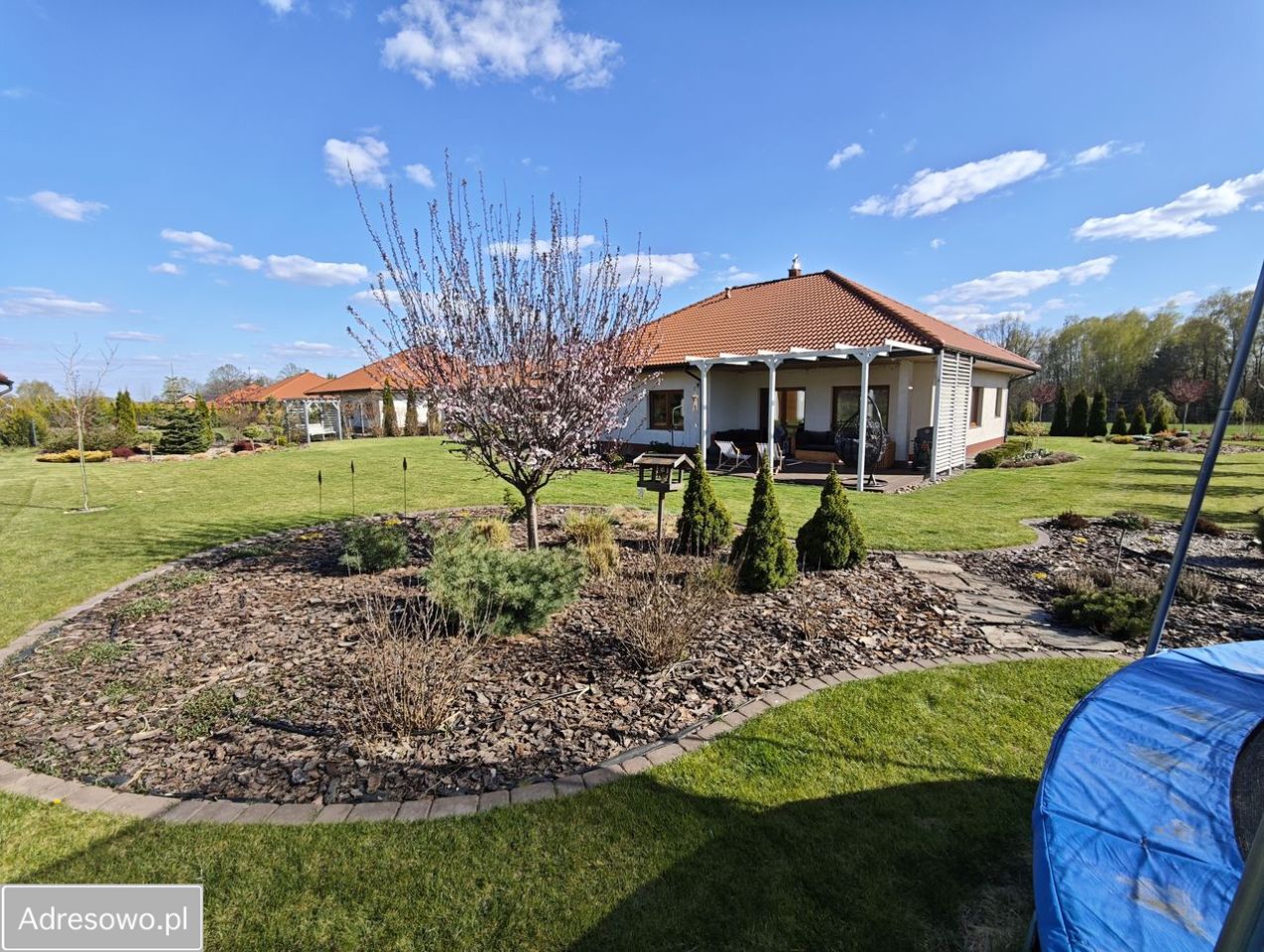 dom wolnostojący, 4 pokoje Wiączyń Dolny. Zdjęcie 8