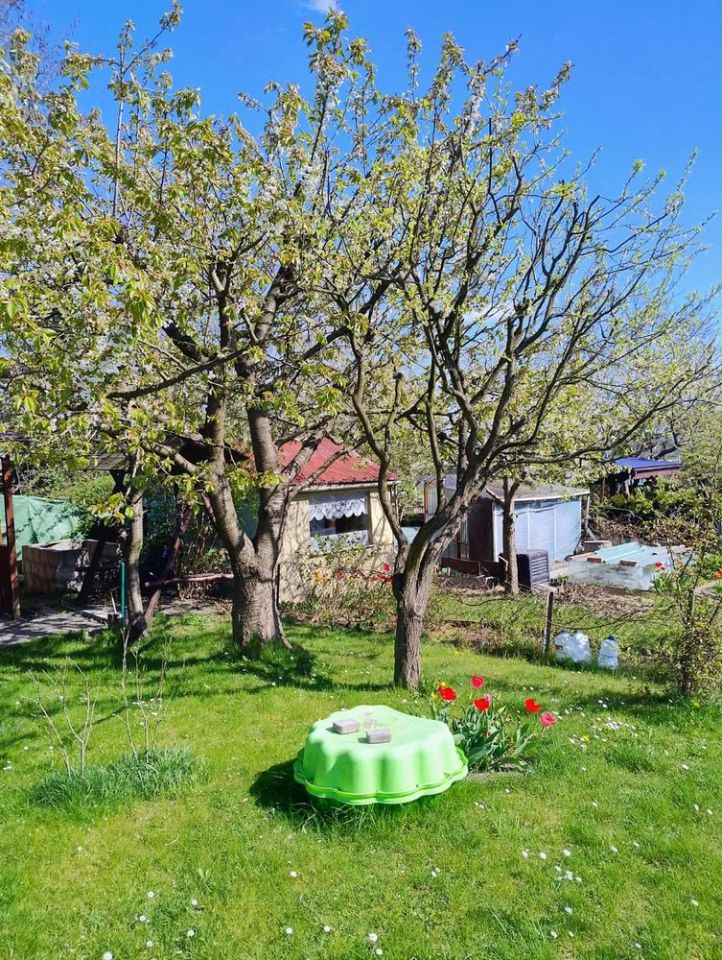 Działka rod Starachowice, ul. Martenowska. Zdjęcie 2