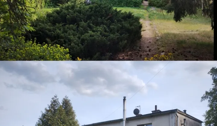 Mieszkanie 3-pokojowe Żalno