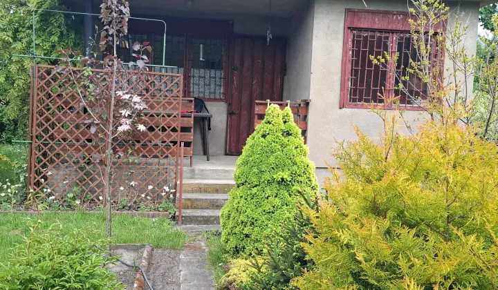 Działka rod Pabianice, ul. Olszynowa