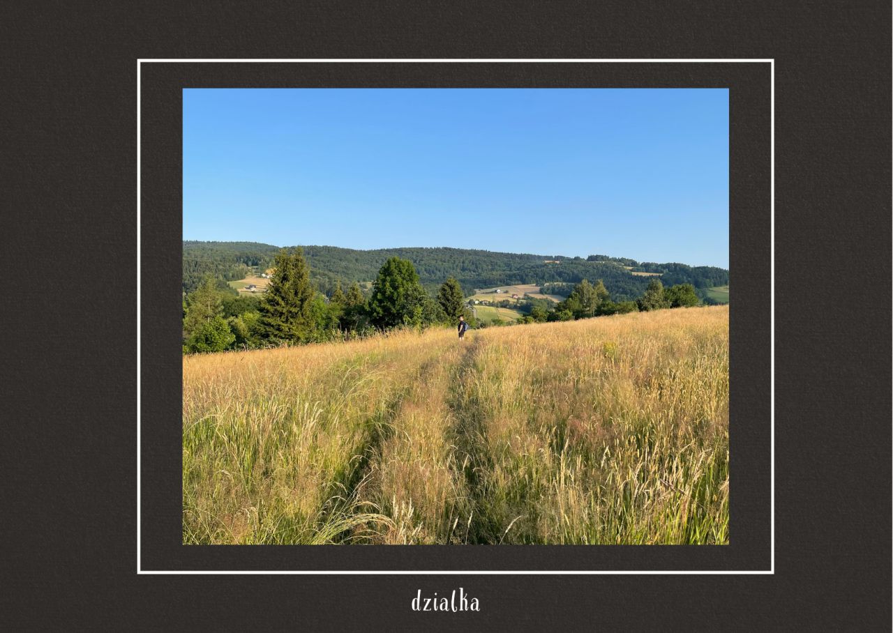 Działka rolno-budowlana Szymbark. Zdjęcie 11