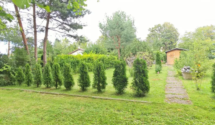 Działka rod Łódź Chojny, ul. Pryncypalna
