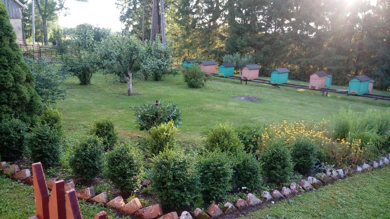 siedlisko, 3 pokoje Michałkowo. Zdjęcie 6