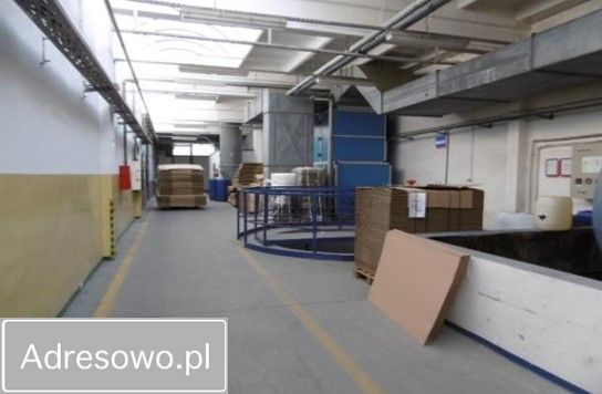 Hala/magazyn Gorzów Wielkopolski Zawarcie, ul. Cicha. Zdjęcie 6