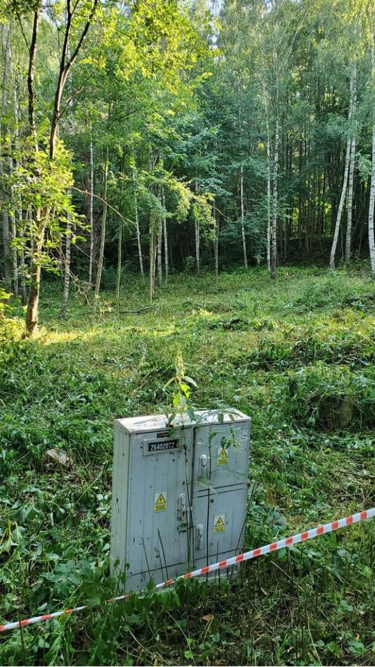 Działka budowlana Świerkocin. Zdjęcie 2