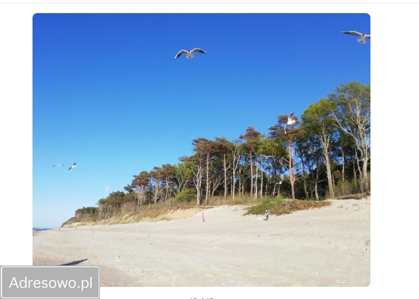 dom szeregowy, 3 pokoje Niechorze, ul. Stokrotki. Zdjęcie 7