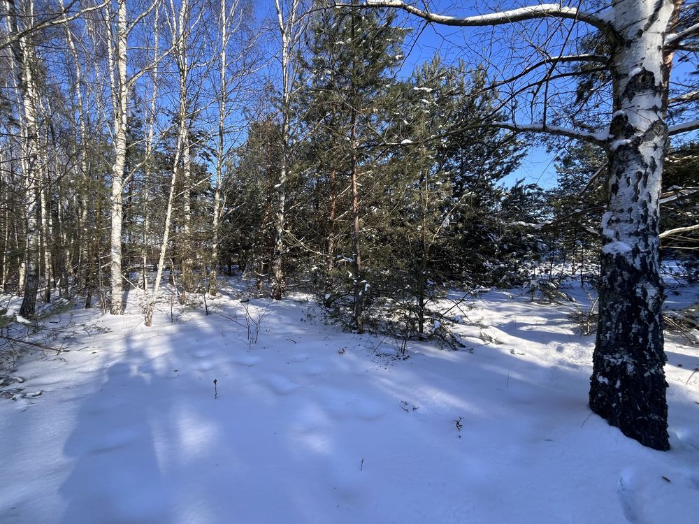 Działka budowlana Górki, ul. Krótka. Zdjęcie 3