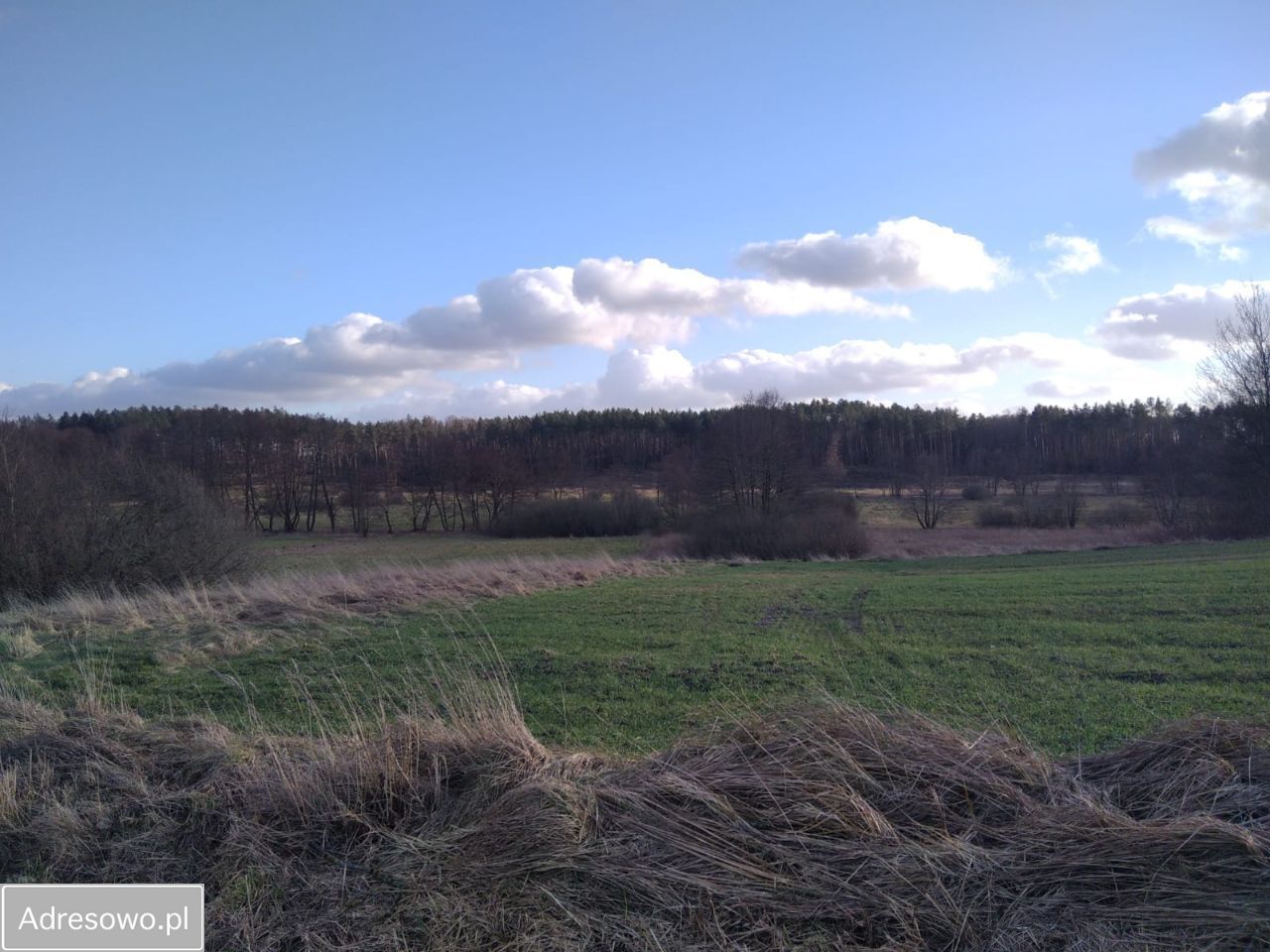 Działka budowlana Mechowo. Zdjęcie 3