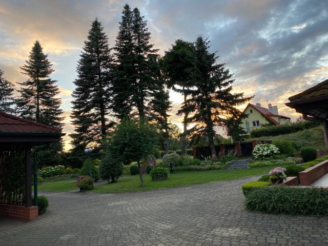 siedlisko Najdymowo. Zdjęcie 25