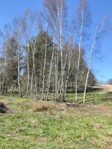 Działka budowlana Lewinko, ul. Na Skarpie. Zdjęcie 1