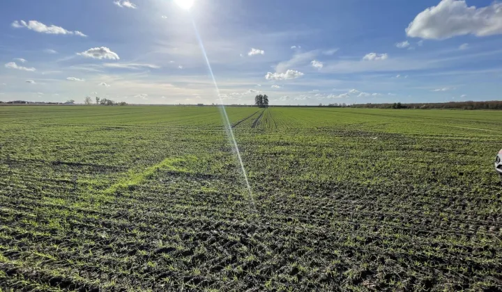 Działka inwestycyjna Karnin, ul. Lubuska