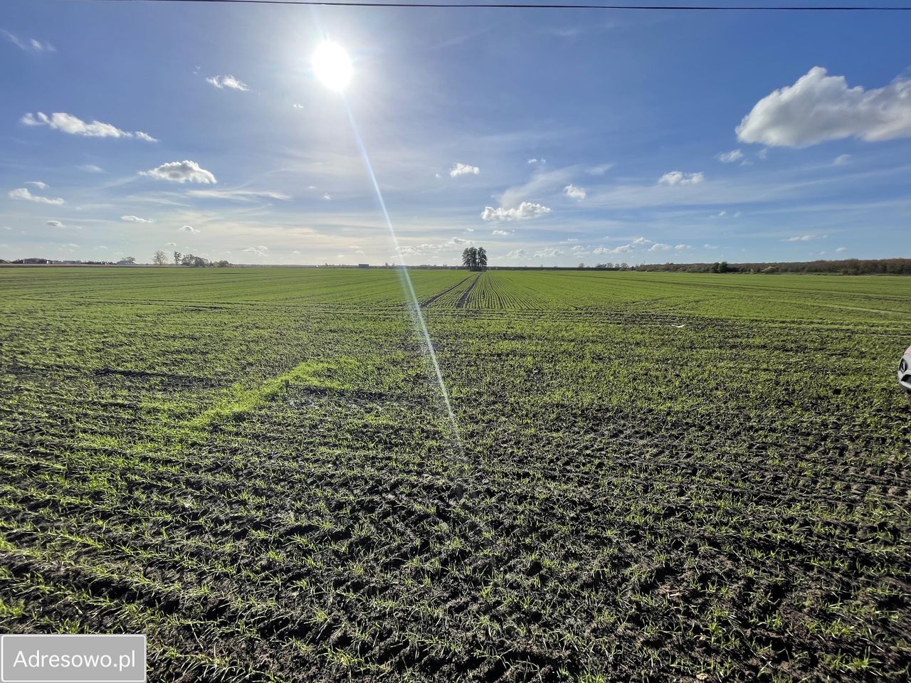 Działka inwestycyjna Karnin, ul. Lubuska