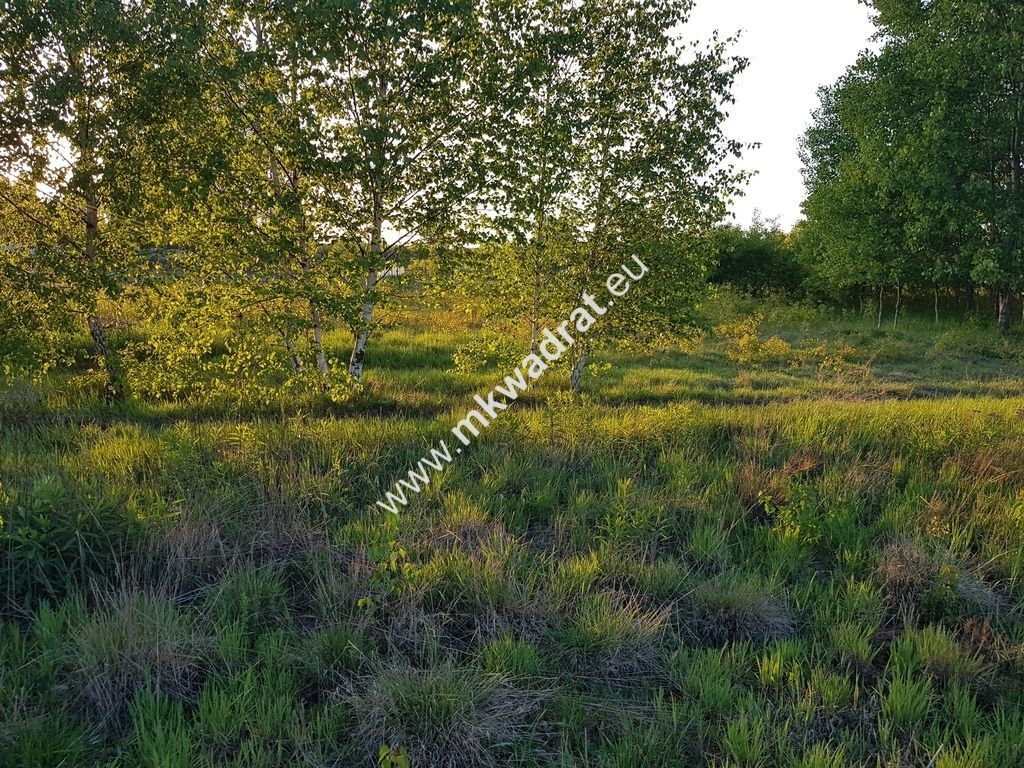 Działka budowlana Radziejowice, ul. Ossolińskich. Zdjęcie 5