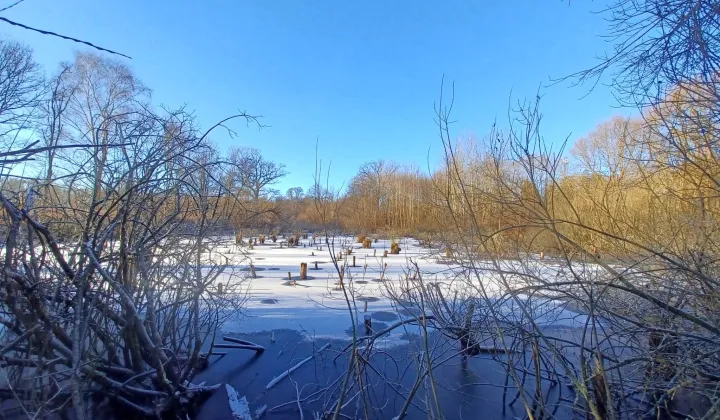 Działka rolna Krągłe