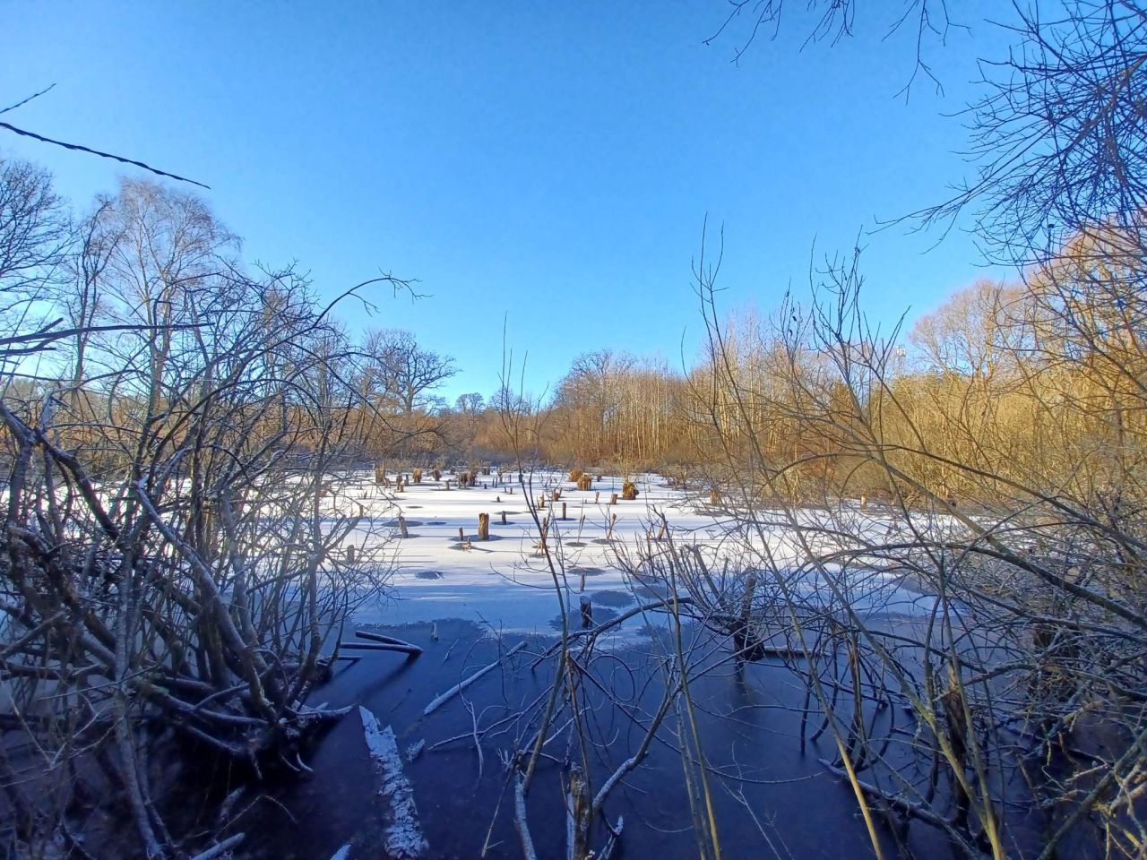 Działka rolna Krągłe. Zdjęcie 1