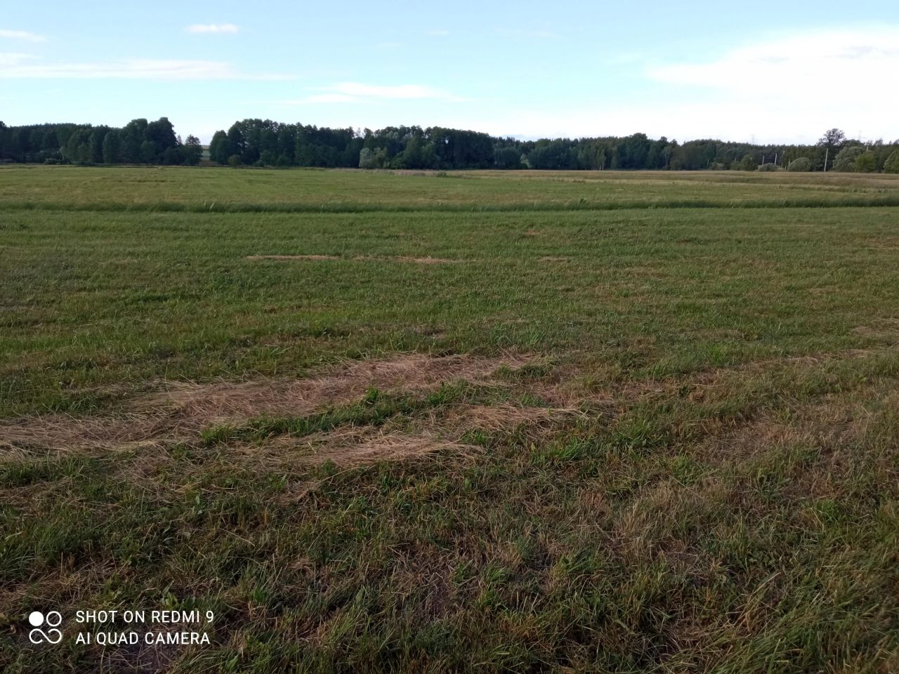 Działka rolna Olszowa. Zdjęcie 6