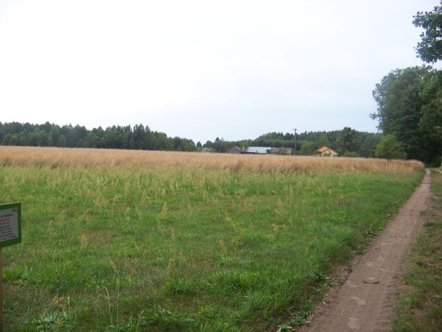 Działka rolno-budowlana Kamieniec. Zdjęcie 1