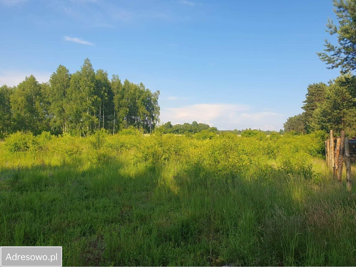 Działka rekreacyjna Panoszów Niwki, ul. Łąkowa. Zdjęcie 9