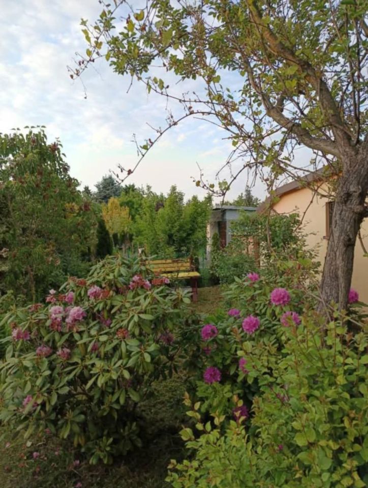 Działka rod Zelów. Zdjęcie 7