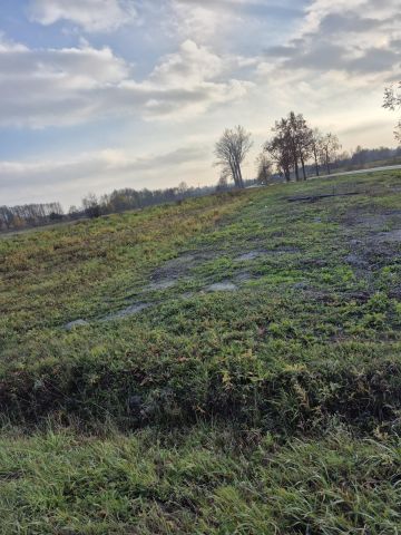 Działka rolno-budowlana Dąbrowica. Zdjęcie 1