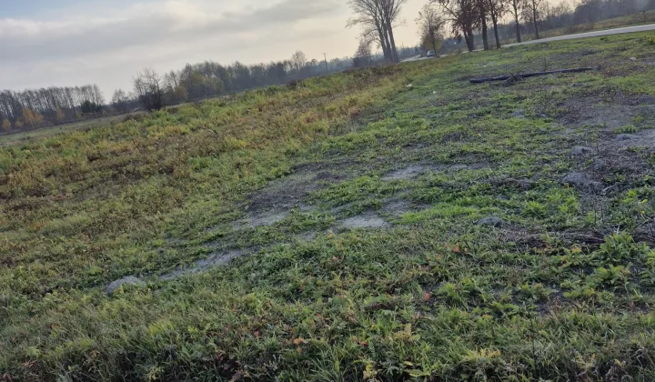 Działka rolno-budowlana Dąbrowica