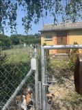 Działka rolno-budowlana Nowosiółki-Kolonia. Zdjęcie 2