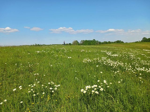 Działka rolna Notyst Mały. Zdjęcie 1