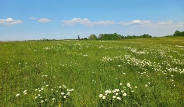 Działka rolna Notyst Mały