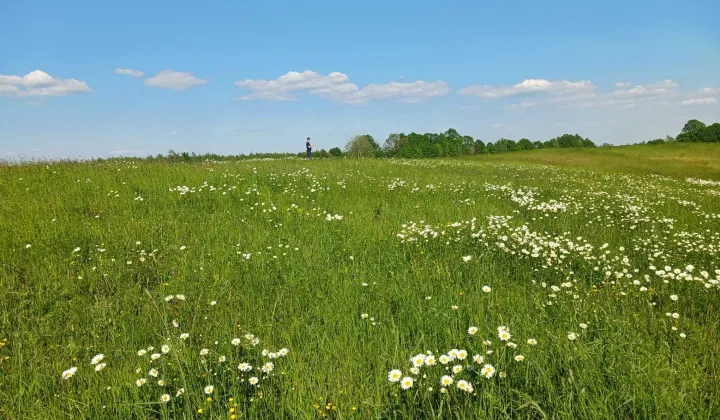 Działka rolna Notyst Mały